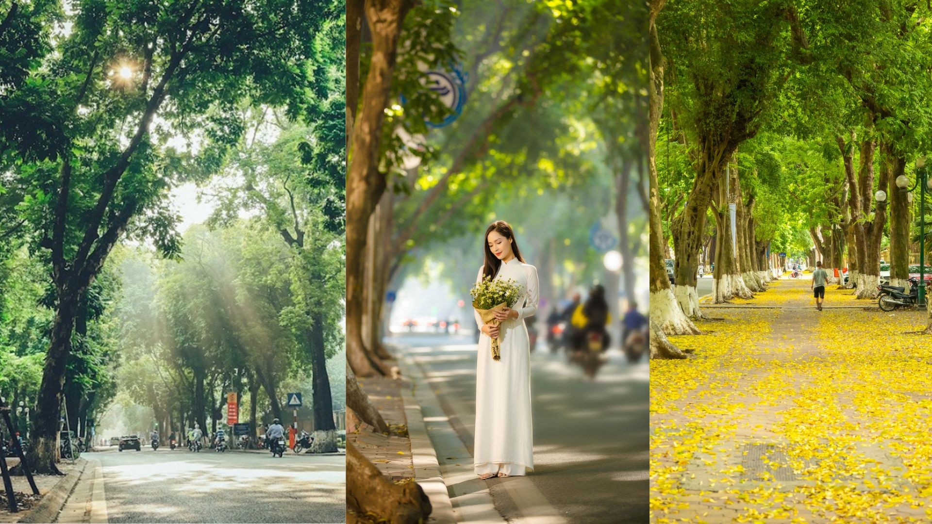 Phố Phan Đình Phùng – Con đường lãng mạng nhất Hà Nội
