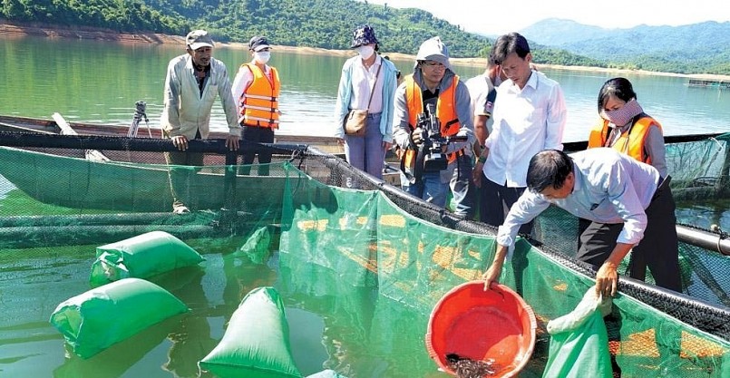 Quảng Ngãi: Phát triển hiệu quả kinh tế từ nghề nuôi cá chình