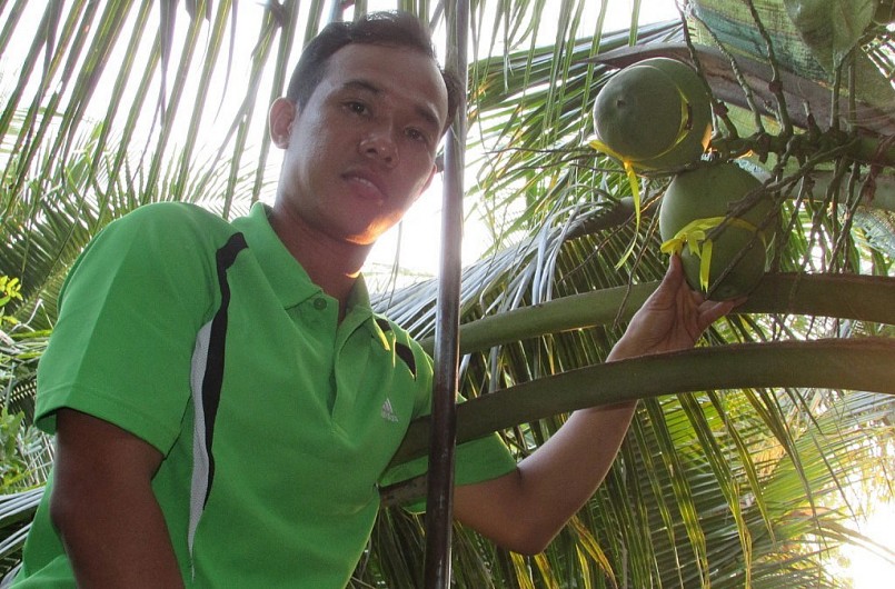 Không chỉ sưu tầm dừa cảnh, anh Tâm còn nổi tiếng với sản phầm trái dừa hồ lô và tạo chữ trên trái dừa được khách hàng ưa chuộng.