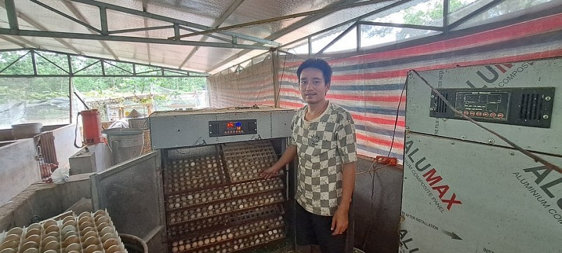 Tủ ấp trứng do anh Vĩnh tự lắp ráp có công suất 1.200 trứng/lứa