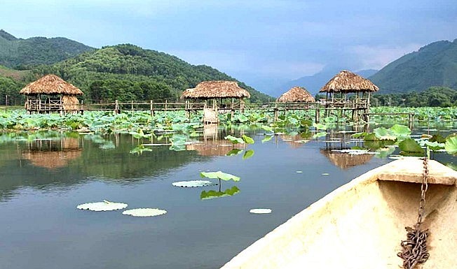 Những cây cầu gỗ được dựng cùng với những ô chòi vươn ra giữa mặt hồ sen.