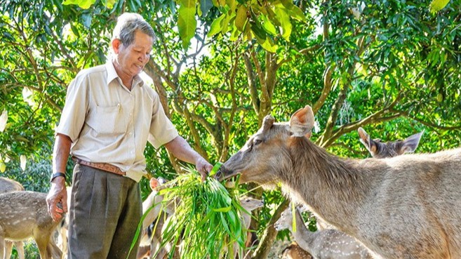 Nông dân Kiên Giang giỏi làm giàu, thu nhập tiền tỷ mỗi năm