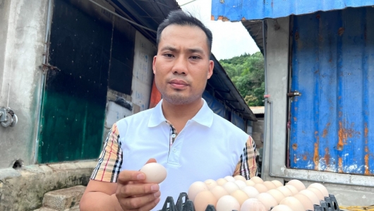 Điều bất ngờ về ông chủ trại gà mỗi năm thu 2 tỷ đồng ở Thanh Hóa