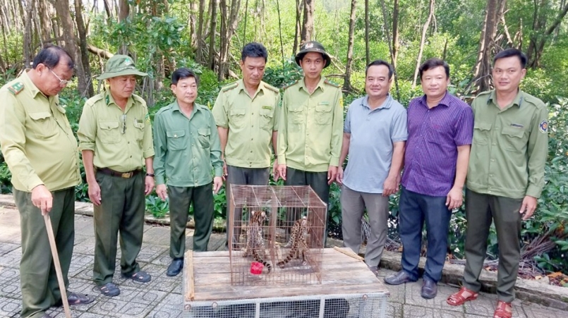 Hạt Kiểm lâm huyện Ngọc Hiển tổ chức thả các cá thể động vật hoang dã do hộ dân tự nguyện giao nộp