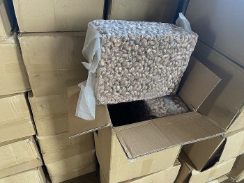 Tây Ninh: Phát hiện lô hàng nhập khẩu gần 100 tấn hạt điều không đúng khai báo