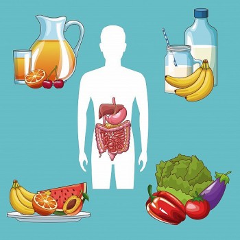 Những thực phẩm giúp đường ruột khỏe mạnh, bạn đã biết chưa?