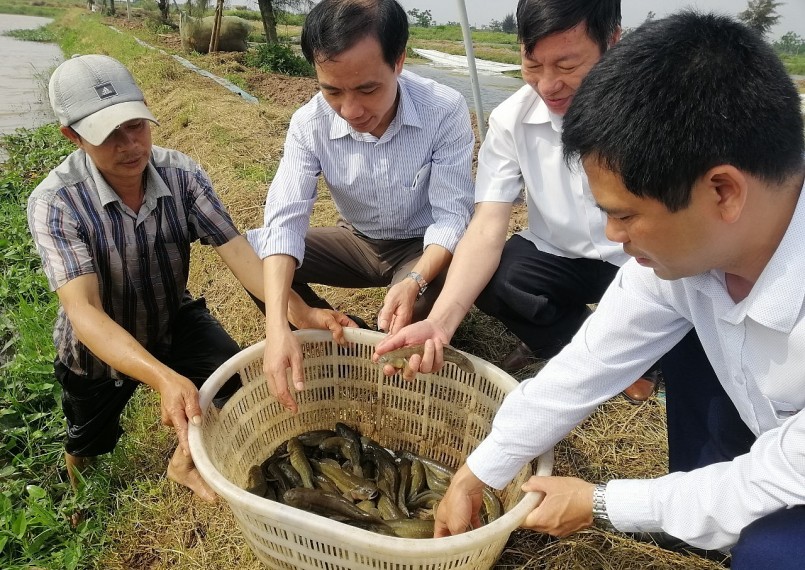 Kiểm tra tình hình sinh trưởng, phát triển của cá bống bớp tại xã Nam Điền (huyện Nghĩa Hưng, tỉnh Nam Định).