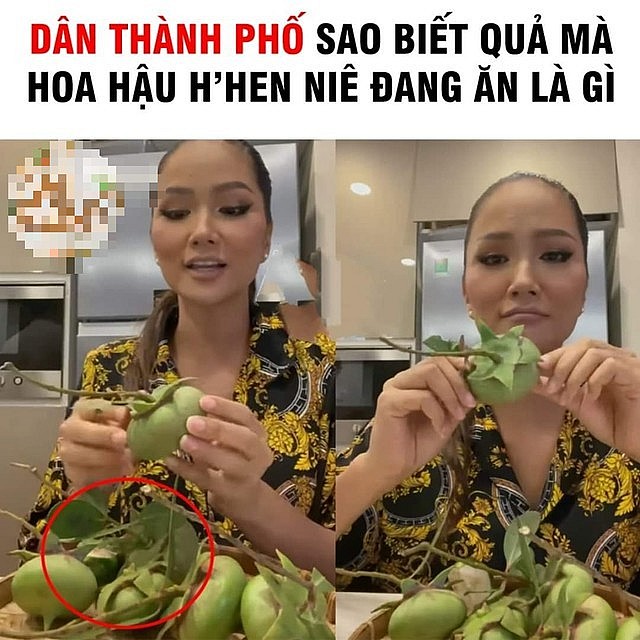 Nhiều người tò mò với loại quả mà Hoa hậu H’Hen Niê cầm trên tay. Ảnh MXH