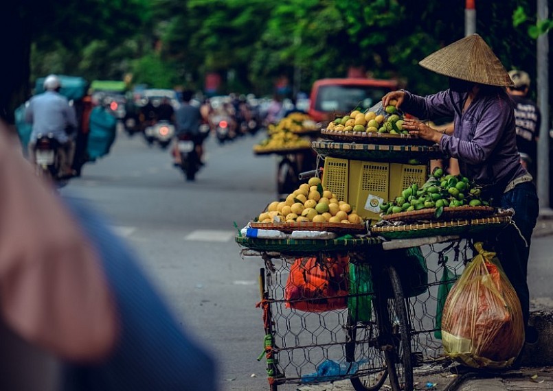 Quả thị, cành thị 