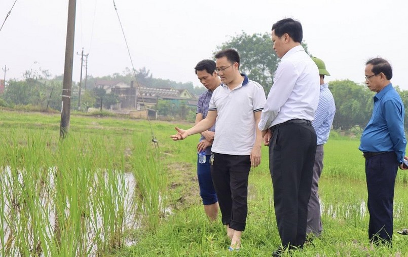 Lãnh đạo huyện tham quan, giám sát mô hình sản xuất lúa - cá kết hợp của anh Luyến.