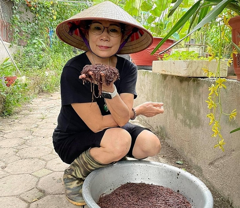 Bà Nguyễn Thị Liên nuôi giun quế kết hợp chăn nuôi tạo ra thu nhập hàng tỷ đồng mỗi năm.