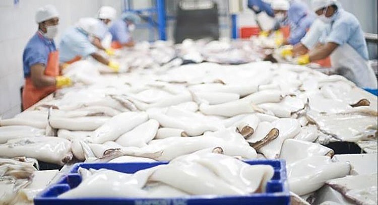 Xuất khẩu mực, bạch tuộc giảm 16%