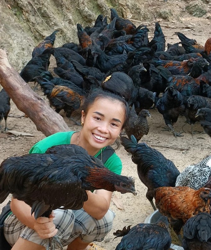 Chị Lò Thị Bưởi, Giám đốc Hợp tác xã (HTX) nông nghiệp sinh thái Efarm É Tòng với đàn gà đen H'Mông bản địa của gia đình.