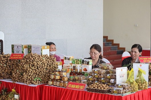 Hưng Yên tổ chức diễn đàn xúc tiến thương mại nông nghiệp 4.0, kết nối tiêu thụ sản phẩm OCOP