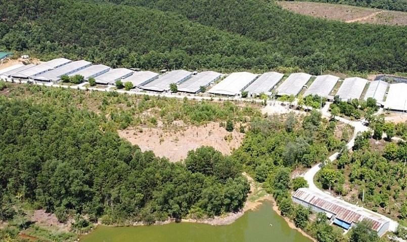 Trang trại nuôi lợn của HTX Vũ Sơn Đức được đầu tư khang trang, đảm bảo các tiêu chuẩn về môi trường.
