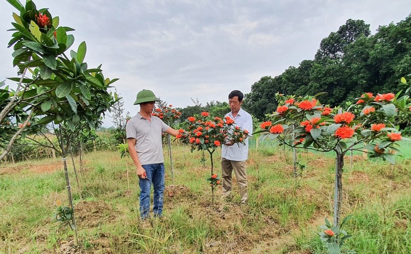 Nhờ có nghề trồng hoa, cây cảnh đời sống của người dân trong thôn Mỹ Tân đã ngày một khấm khá.