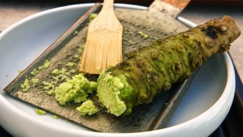 Tác dụng không ngờ từ thảo dược “cay xè” wasabi