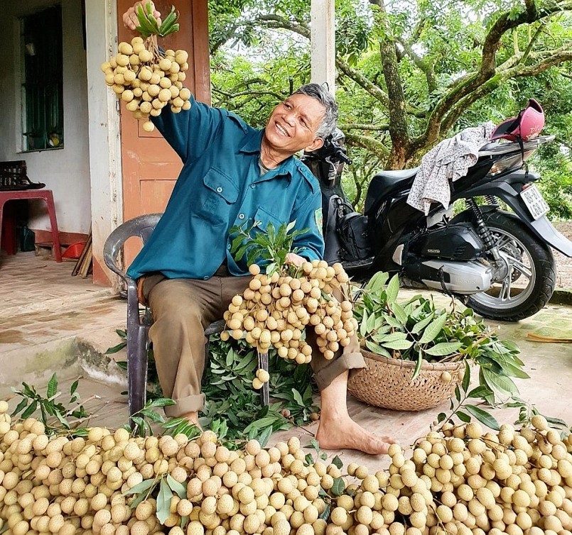 Ngoài chăm lo cho vườn riêng, ông Bùi Xuân Tám còn nhiệt tình chia sẻ bí quyết với bà con qua những buổi livestream.