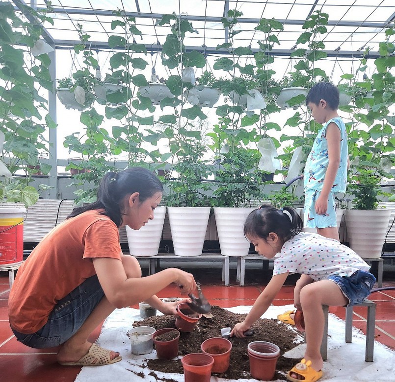 Khu vườn ba mẹ con cùng trồng rau cũng là nơi chị giúp các con trải nghiệm.