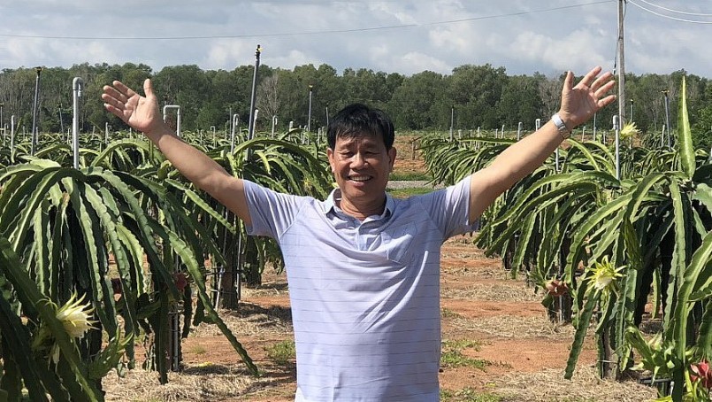 Ông Đinh Xuân Đào tỷ phú trồng thanh long ở Bình Thuận.