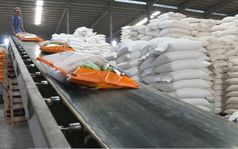 Giá gạo xuất khẩu của Việt Nam đạt mức 628 USD/tấn