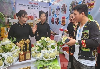 Kỷ lục khi 3 trái na Chi Lăng có giá trên nửa tỷ đồng,  nâng tầm thương hiệu nông sản Lạng Sơn
