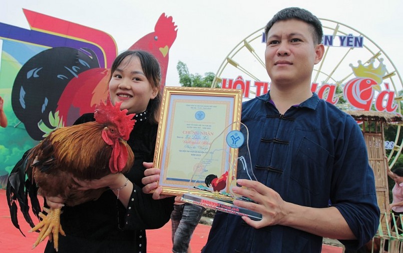 Suy tôn danh hiệu Vua gà Tiên Yên cho gà của đội xã Điền Xá.