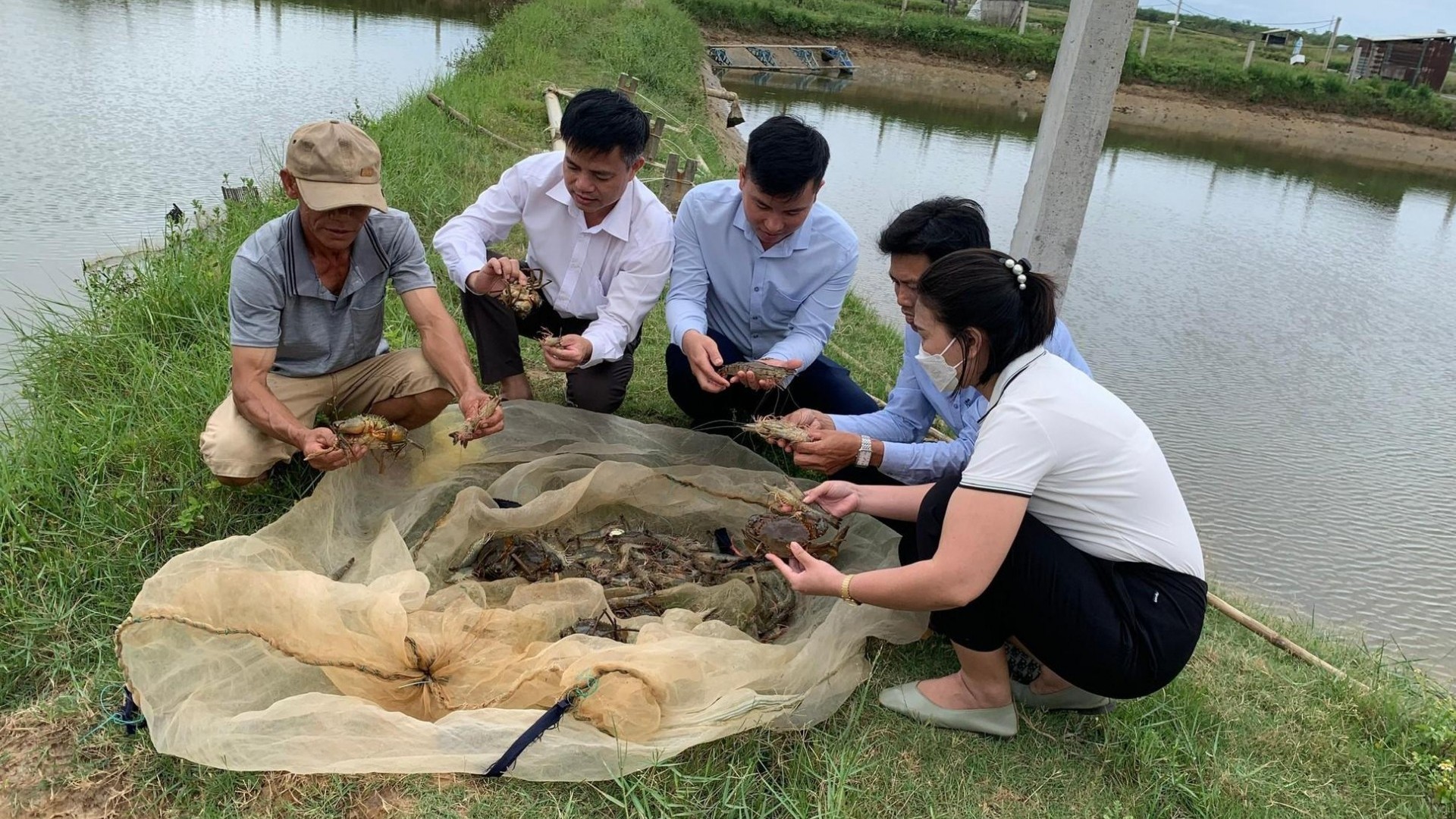 Cho tôm cua cá chung một ao, nông dân Quảng Trị cứ thu lãi đều năm này qua năm khác