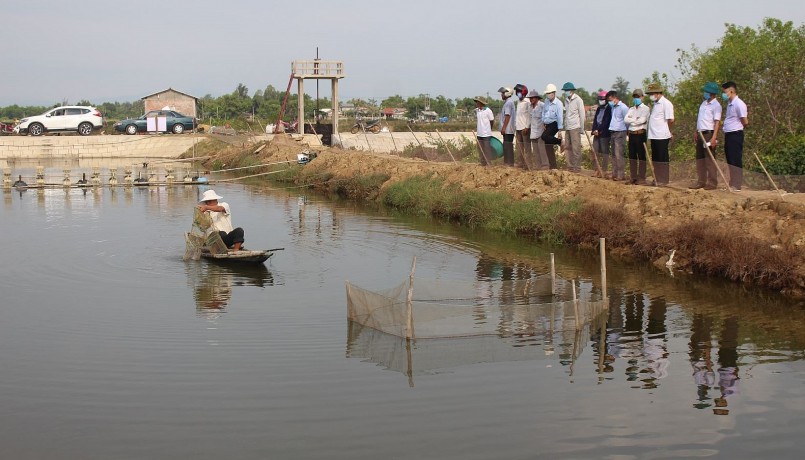 Ao nuôi theo mô hình nuôi xen ghép ở xã Trung Hải huyện Gio Linh.
