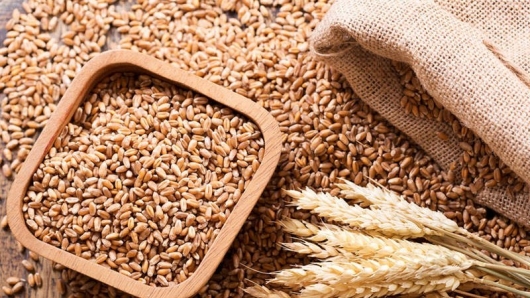 Việt Nam nhập khẩu lúa mì nhiều nhất từ thị trường Australia