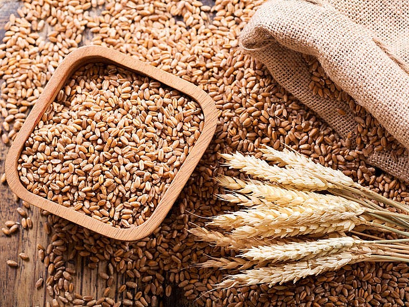 7 tháng năm 2023 lượng lúa mì nhập khẩu của cả nước đạt trên 2,81 triệu tấn