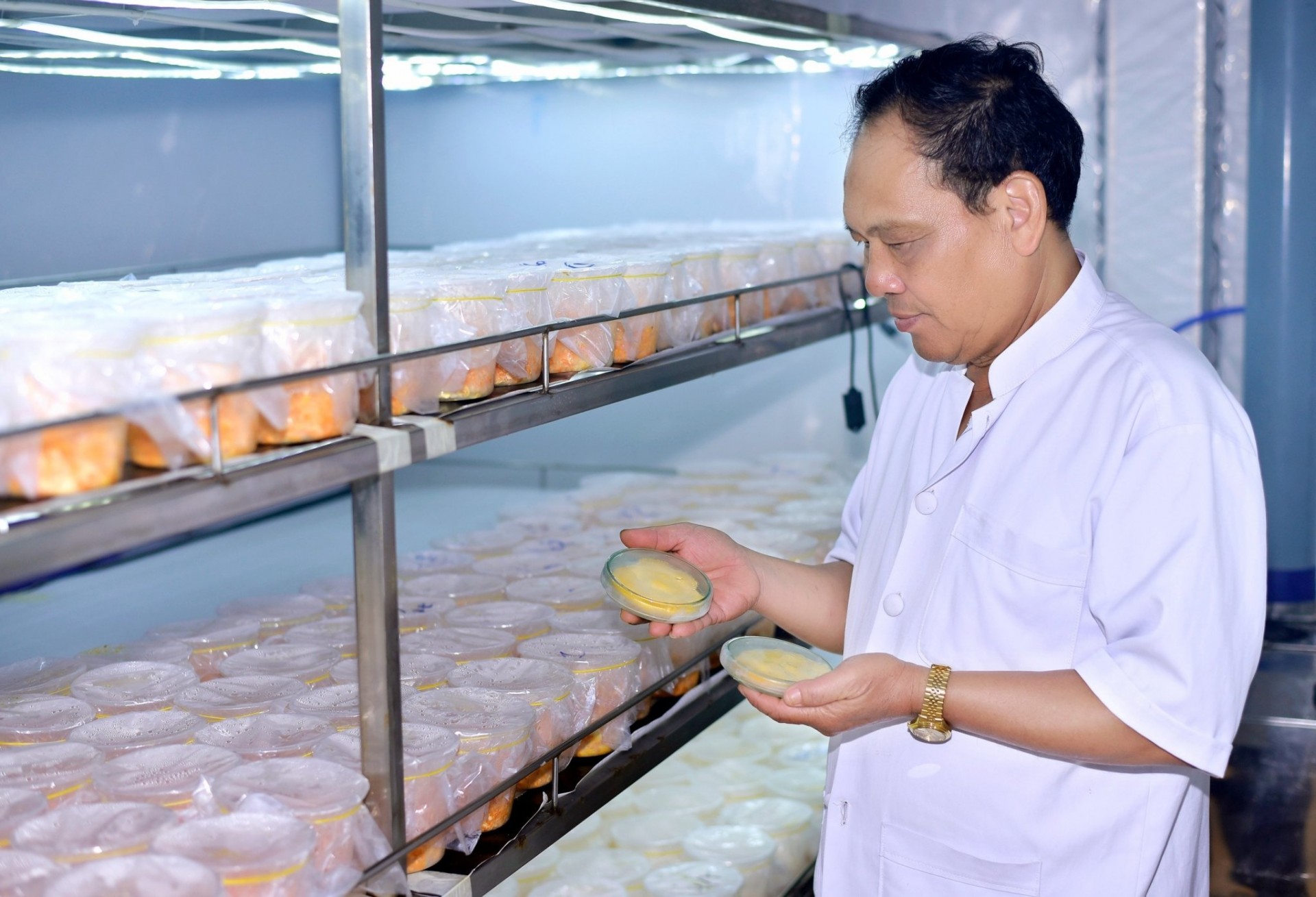 Đông trùng hạ thảo
