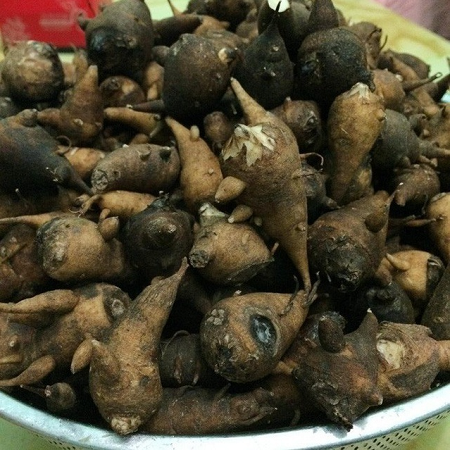 Thưởng thức món ăn “độc dược quyến rũ” nơi địa đầu tổ quốc
