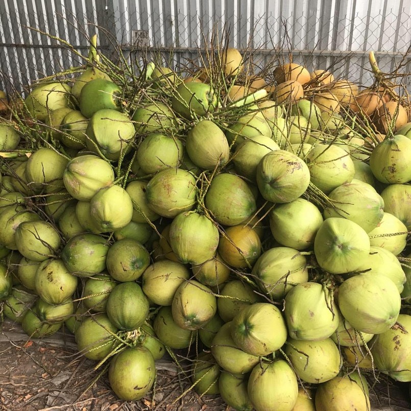dừa được bán giá 20.000 đồng/trái tại TP.HCM