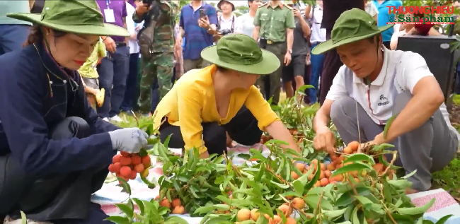 Lục Ngạn: Dân vận khéo góp phần phát triển kinh tế - cầu nối giữa ý Đảng với lòng dân