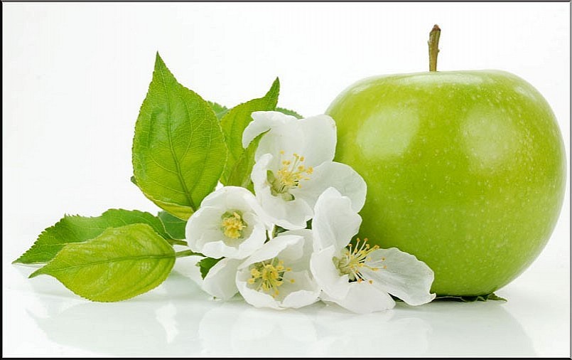 Mỗi ngày 1 quả táo và lợi ích tuyệt vời cho sức khỏe