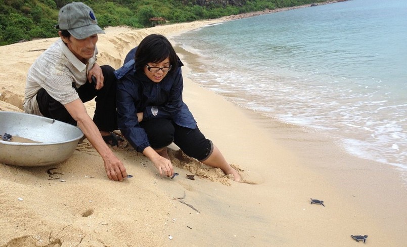 Tổ tình nguyện viên rùa biển và cán bộ Chi cục Thủy sản thả rùa con về biển năm 2013. 