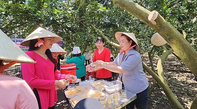 Du khách thưởng thức chè bưởi tại vườn bưởi, một trải nghiệm thú vị khi tới Xuân Lộc.