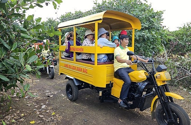 Du khách háo hức đi tham quan các vườn trái cây đủ loại tại thủ phủ trái cây Xuân Lộc.