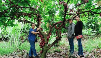 Đánh thức tiềm năng của thủ phủ trái cây Xuân Lộc nhờ kết hợp đa dạng du lịch sinh thái