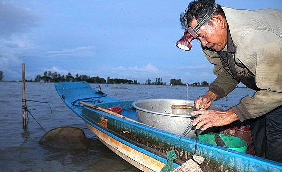 Nhiều nông dân vùng biên giới huyện An Phú, tỉnh An Giang thu nhập 1 triệu đồng/ngày nhờ đánh bắt cá linh.