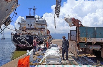 Ấn Độ cho phép xuất khẩu các lô gạo trắng non-basmati bị kẹt tại cảng