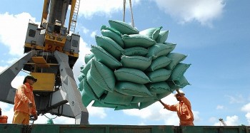 Xuất khẩu gạo 8 tháng đã thu về hơn 3,17 tỷ USD