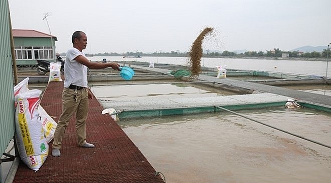 Ông Trần Văn Đương (xã Nam Tân) hiện có 40 lồng nuôi cá.