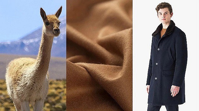Áo khoác hay khăn quàng cổ được làm từ vicuña thường được bán lẻ với giá cao ngất ngưởng