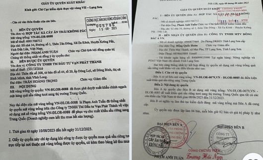 Đắk Lắk: Lùm xùm vụ con dấu, chữ ký giả liên quan việc cấp giấy ủy quyền cho doanh nghiệp xuất khẩu sầu riêng