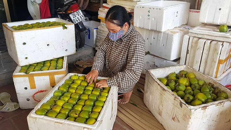 Loại hồng có ruột lòng đào trứng gà, giá hơn trăm nghìn một kg vẫn đắt hàng