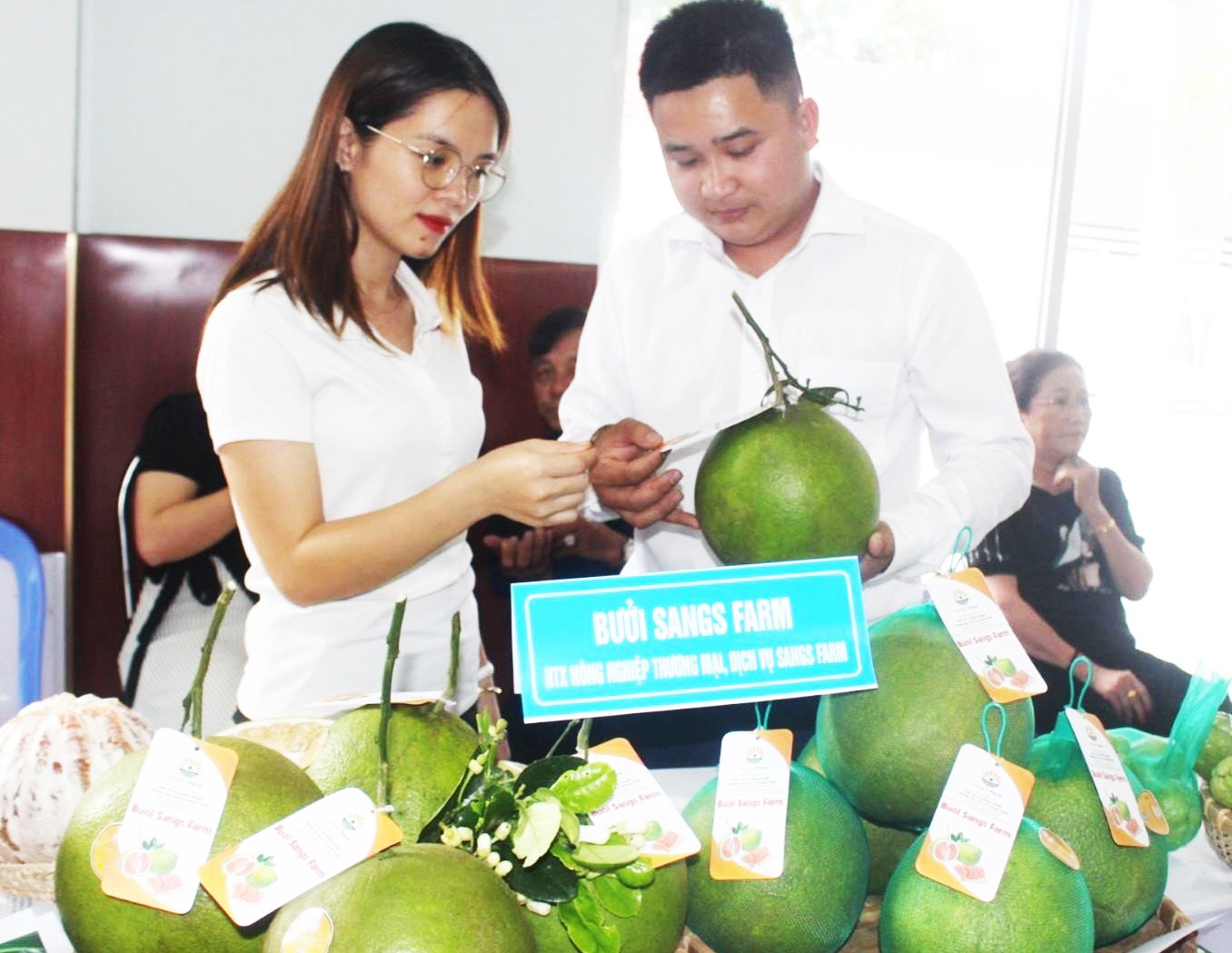 Bưởi Sang's Farm - sản phẩm OCOP 4 sao của Đắk Nông, đặc sản của người dân bon Rbút