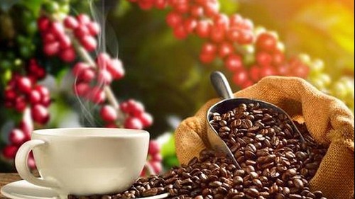 Giá nông sản hôm nay 6/9: Cà phê quay đầu giảm, hồ tiêu tăng 500 đồng/kg