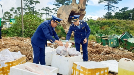 Lâm Đồng: Xử phạt hộ kinh doanh buôn bán thực phẩm đông lạnh không rõ nguồn gốc